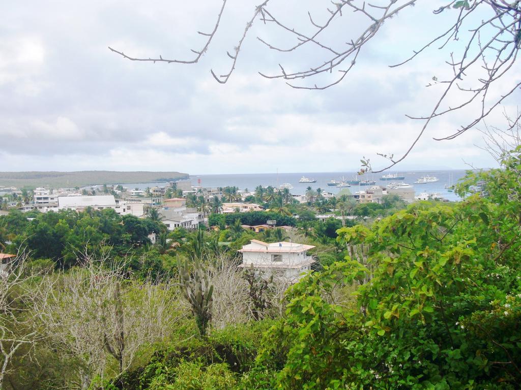 Hotel Pelican Bay Puerto Ayora  Kültér fotó