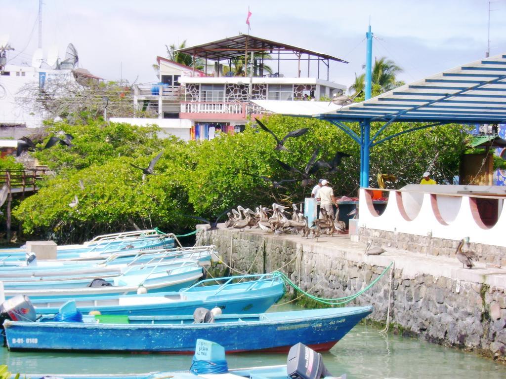 Hotel Pelican Bay Puerto Ayora  Kültér fotó